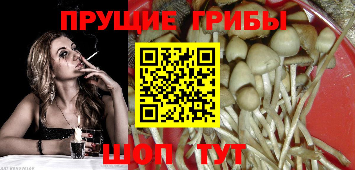 Псилоцибиновые грибы GOLDEN TEACHER  Вход с VPN  сколько стоит  Псков  Галлюциногенные грибы Psilocybine cubensis 